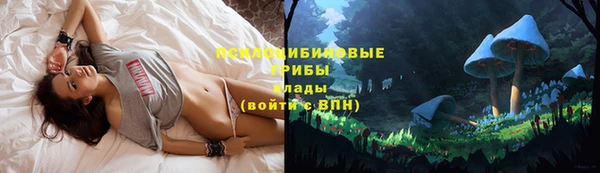 ALPHA-PVP Алексеевка