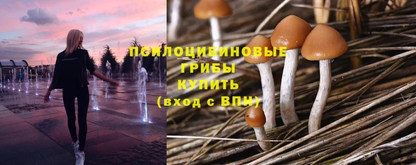шишки Алзамай