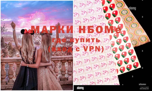шишки Алзамай