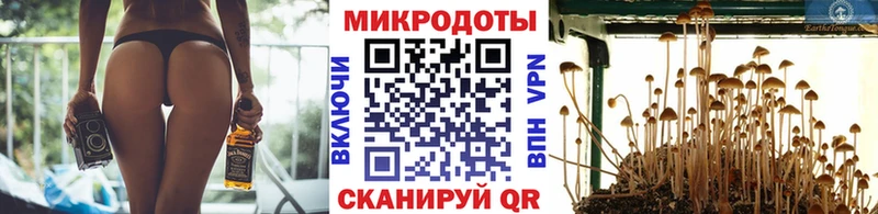Псилоцибиновые грибы GOLDEN TEACHER  МЕГА ссылки  Анжеро-Судженск  наркотики 